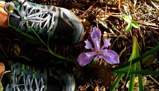 Gearing up for Outdoor Fitness on the trails at Rendezvous