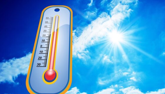Exercising in the Heat – Adapting to the Elements