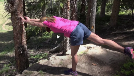 Lower Body Exercise — The Tree Stand